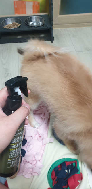 소소러비님이 올린 리뷰 사진 2