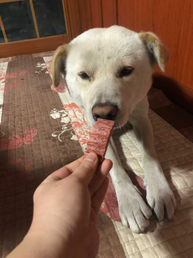 꿀잠츄 리뷰 사진