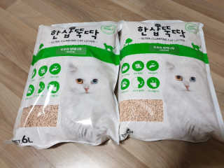 [펫토리아] BEST 고양이두부모래 6L 한삽뚝딱 — 3.5점을 준 리뷰어가 2019년 2월 올린 사용 사진
