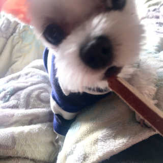 융쓰쓰님이 올린 리뷰 사진 4