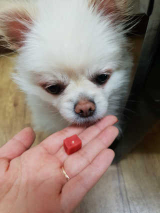 뽀메곰님이 올린 리뷰 사진 4