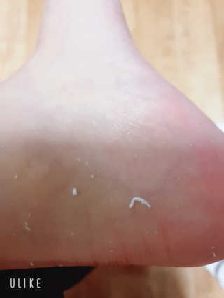 심소님이 올린 리뷰 사진 4