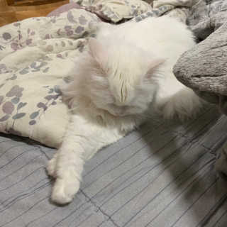 례진님이 올린 리뷰 사진 2