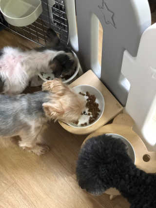 정봐기린님이 올린 리뷰 사진 1