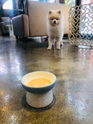 이지댕님이 올린 리뷰 사진 1