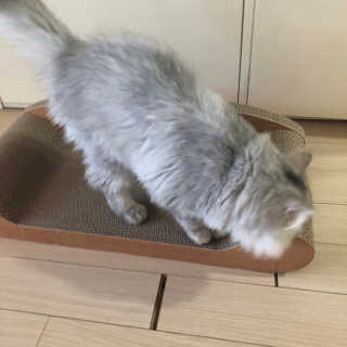 슬공주님이 올린 리뷰 사진 2