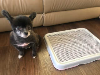로레알님이 올린 리뷰 사진 1
