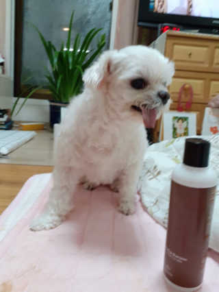 미도르님이 올린 리뷰 사진 1