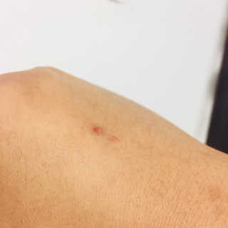 한라봉님이 올린 리뷰 사진 4