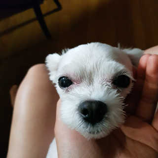 수빈님이 올린 리뷰 사진 2