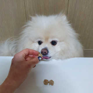 치리짱님이 올린 리뷰 사진 2