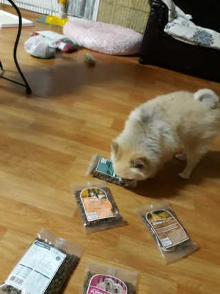 허은정님이 올린 리뷰 사진 1