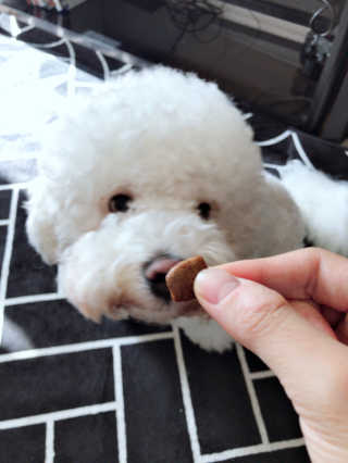 루이맘님이 올린 리뷰 사진 2