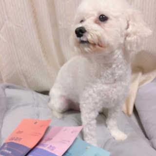 푸디웜 주식회사 [푸디웜] 강아지 저알러지 수제간식 3종세트 — 4.67점을 준 리뷰어가 2018년 11월 올린 사용 사진