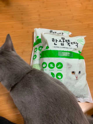 [펫토리아] BEST 고양이두부모래 6L 한삽뚝딱 — 4점을 준 리뷰어가 2019년 2월 올린 사용 사진