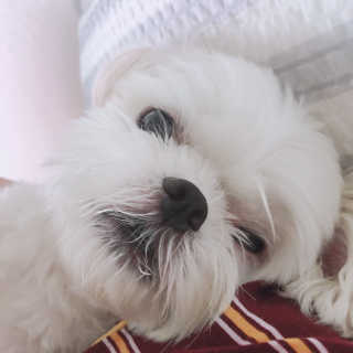 VV님이 올린 리뷰 사진 2
