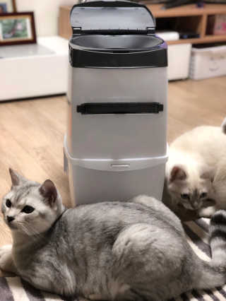 04mini04님이 올린 리뷰 사진 1