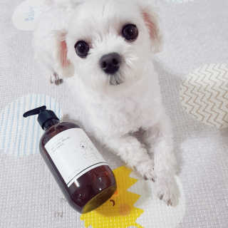 박수인님이 올린 리뷰 사진 1