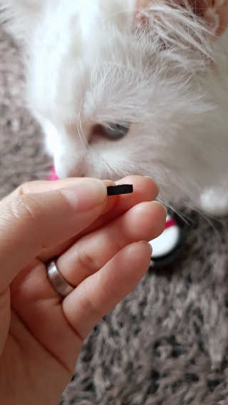 논지님이 올린 리뷰 사진 1