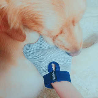 아보카도올리브님이 올린 리뷰 사진 4