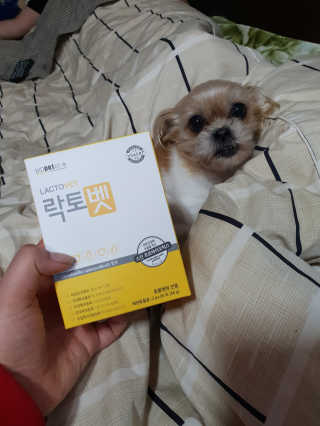 유산균하우스 [프로바이오닉]락토벳 — 3점을 준 리뷰어가 2019년 2월 올린 사용 사진