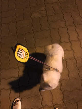 칭이칭이님이 올린 리뷰 사진 1