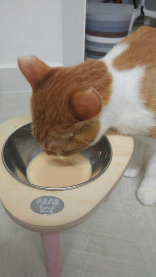 오나오나님이 올린 리뷰 사진 2