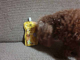 닥터할리펫밀크 8종 — 5점을 준 리뷰어가 2019년 12월 올린 사용 사진