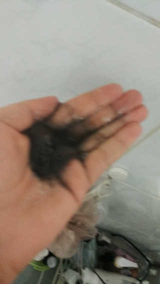 the naked object [탈모볼륨샴푸] 디블랙 팩 샴푸 — 4.5점을 준 리뷰어가 2019년 12월 올린 사용 사진