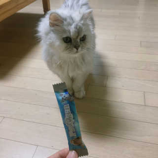 다조이님이 올린 리뷰 사진 2