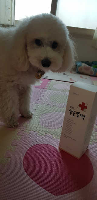 캐스퍼님이 올린 리뷰 사진 2