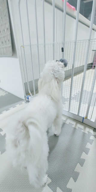 앵두님이 올린 리뷰 사진 2