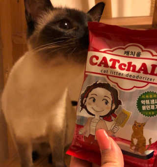 영이공주님이 올린 리뷰 사진 1