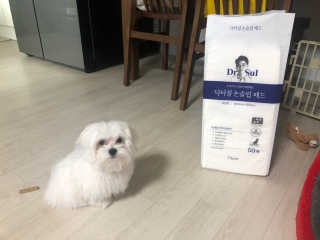 김연주님이 올린 리뷰 사진 1