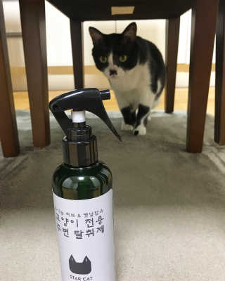 dandelion님이 올린 리뷰 사진 1