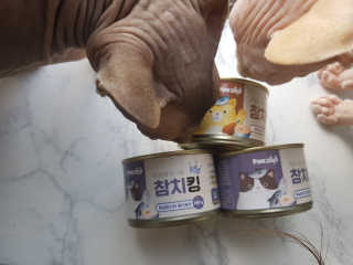 마뇨님이 올린 리뷰 사진 2
