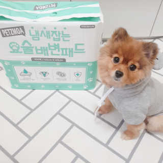 페츠모아 냄새잡는 요술배변패드 — 5점을 준 리뷰어가 2020년 3월 올린 사용 사진