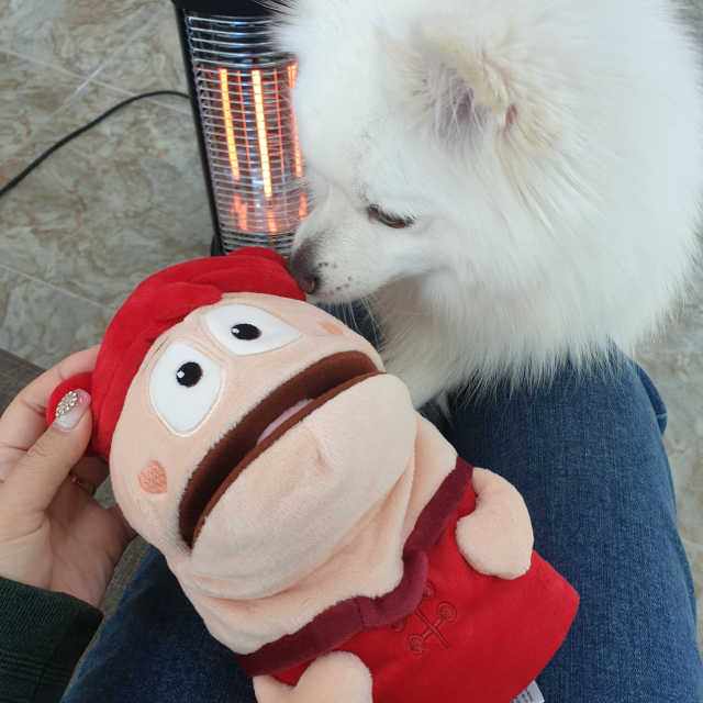 에그로이봉제인형 리뷰 사진