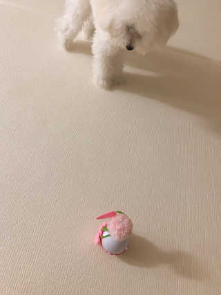Ella님이 올린 리뷰 사진 2