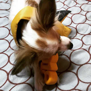 응디님이 올린 리뷰 사진 3