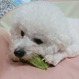 이민아님이 올린 리뷰 사진 3