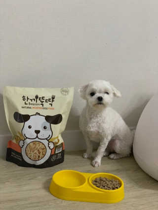 [펫토리아] 맛도 영양도 BEST 한끼뚝딱 강아지 사료 — 5점을 준 리뷰어가 2018년 12월 올린 사용 사진