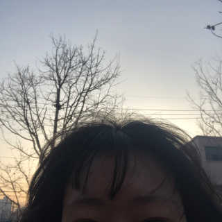 봄봄님이 올린 리뷰 사진 3