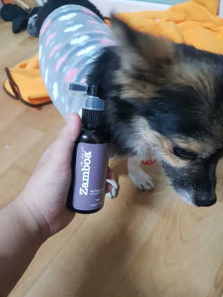 항항항님이 올린 리뷰 사진 4