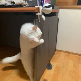 제시님이 올린 리뷰 사진 1