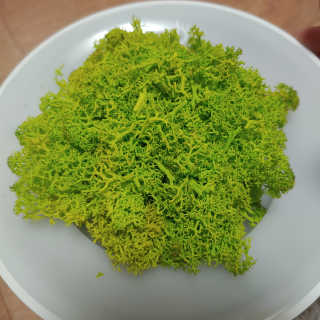 benny님이 올린 리뷰 사진 4