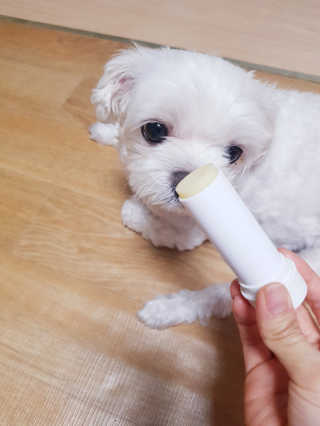 또로링님이 올린 리뷰 사진 4