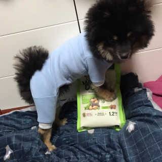 정아님이 올린 리뷰 사진 1