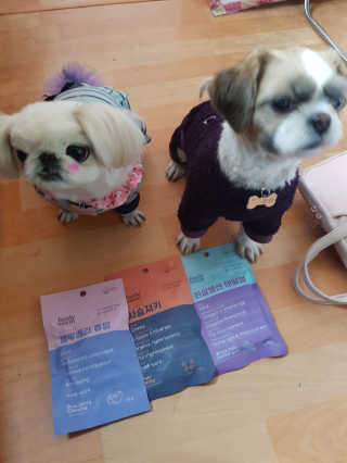 푸디웜 주식회사 [푸디웜] 강아지 저알러지 수제간식 3종세트 — 5점을 준 리뷰어가 2019년 2월 올린 사용 사진