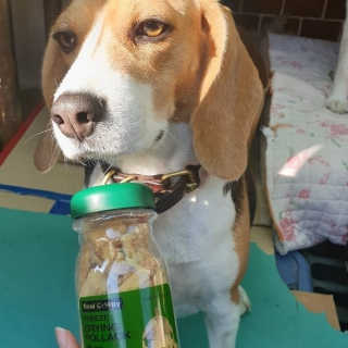 beaglelove님이 올린 리뷰 사진 3